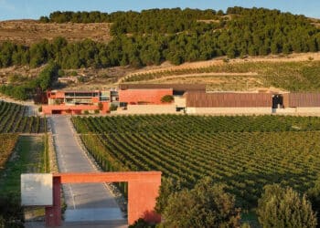 Bodega Pago de Carraovejas. / ALMA CARRAOVEJAS