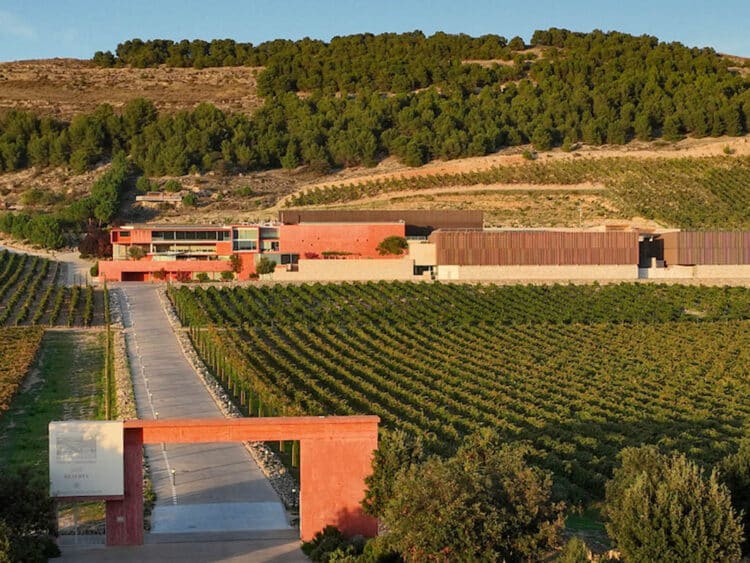 Bodega Pago de Carraovejas. / ALMA CARRAOVEJAS