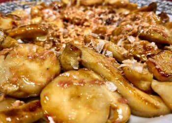 Boletus guisados. / AYTO. DE RIAZA