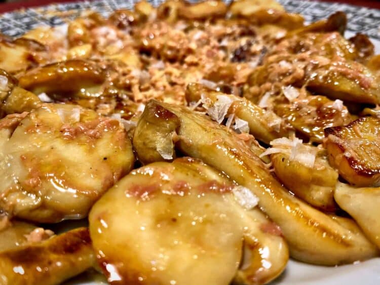 Riaza acoge una nueva edición de sus Jornadas Micológicas 1 Boletus guisados. / MATIMORE CASA MORENO