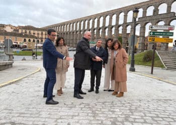 Comprobación de los trabajos de mejora en el paseo de Santo Domingo. / JCYL