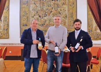 Otoño Enológico San Antonio el Real y San Marcos.