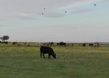Foto de archivo. Vista de varios globos sobrevolando el cielo. / UCCL SEGOVIA