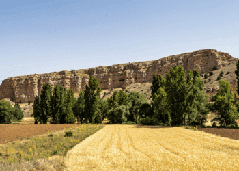 Hoces del río Riaza. / CSIC