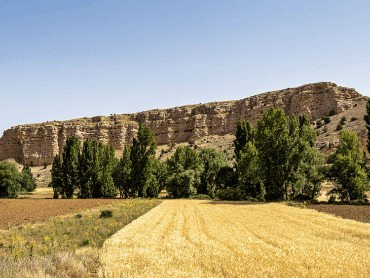 Hoces del río Riaza. / CSIC