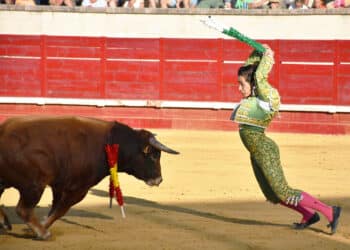 Ismael Martín, poniendo banderillas en Cantalejo. / A.M.