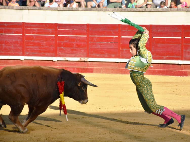 Víctor Mendes e Ismael Martín abordan el tercio de banderillas en Sepúlveda 1 Ismael Martín, poniendo banderillas en Cantalejo. / A.M.