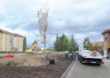 Plantación de árboles en la plaza Calderón de la Barca. / AYUNTAMIENTO DE SEGOVIA