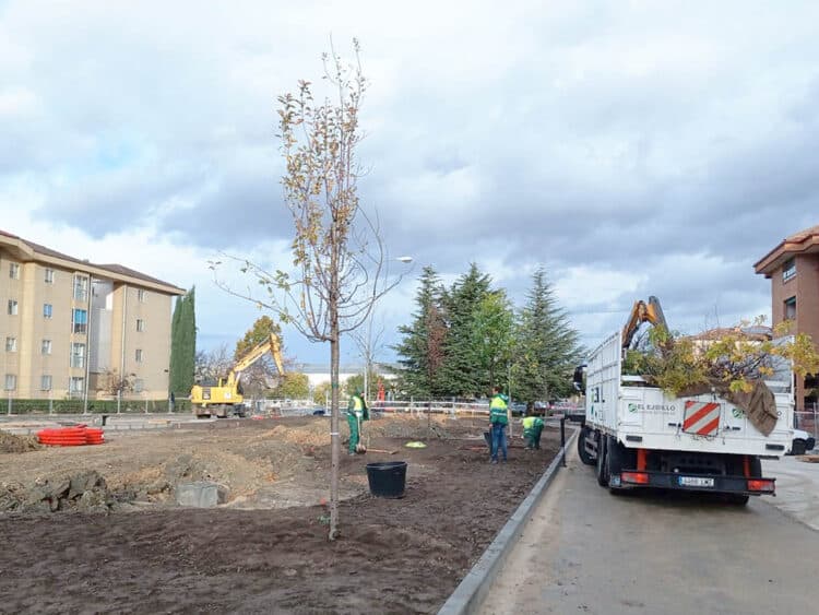 Comienza la plantación de árboles en la plaza de Calderón de la Barca 1 Plantación de árboles en la plaza Calderón de la Barca. / AYUNTAMIENTO DE SEGOVIA