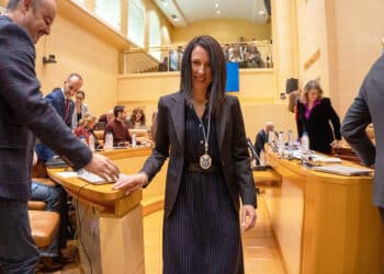 Berta Migueláñez, tras tomar posesión como concejala del Ayuntamiento de Segovia en el Pleno de diciembre. / HÉCTOR CRIADO