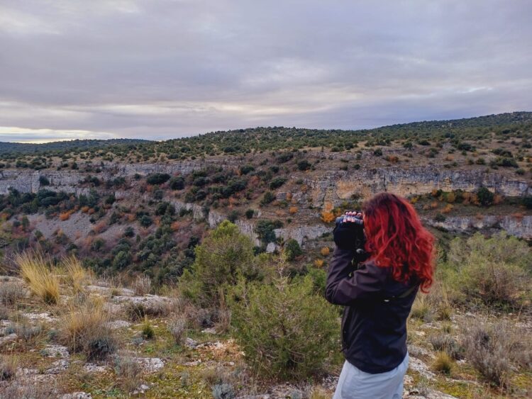 El Refugio de las Hoces del Riaza celebra su 43 edición del 'Censo de Otoño' este fin de semana / REFUGIO DE LAS HOCES DEL RIAZA