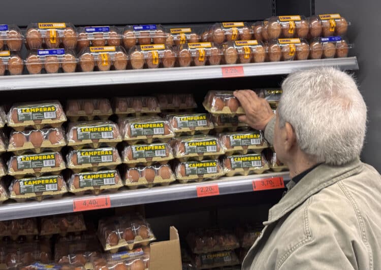 Una docena de huevos en los supermercados cuesta hoya un 65% más que hace un año./ EFE