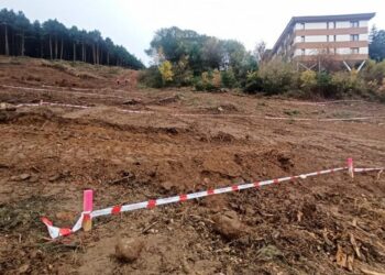 Parcelas preparadas y balizadas para acometer obras de urbanización / ASOCIACIÓN SALVEMOS EL PICO DEL LOBO