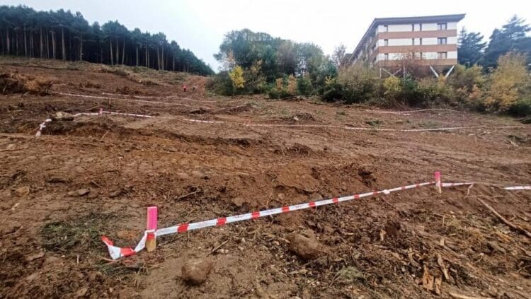 Parcelas preparadas y balizadas para acometer obras de urbanización / ASOCIACIÓN SALVEMOS EL PICO DEL LOBO