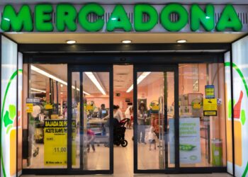 Mercadona trae el producto perfecto para ellos por solo 5 euros