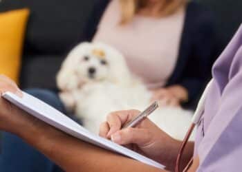 "Afecta directamente a la salud física" de tu perro