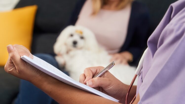 Confirmado por expertos: este gesto que consideras inofensivo "afecta directamente a la salud física" de tu perro 1 "Afecta directamente a la salud física" de tu perro