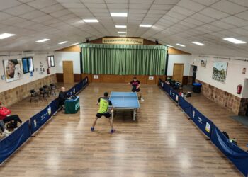 Daniel Sanz durante un instantre de partido./SEGHOS