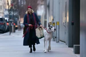 Zoológico del cine 5 Naomi Watts protagonizó El amigo, dirigida por Scott McGehee y David Siegel en 2022.