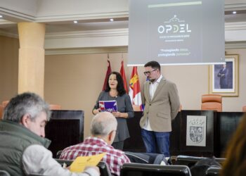Pilar Martín durante la reunión. /DIPUTACIÓN DE SEGOVIA
