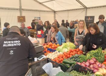 Los productos de la tierra fueron protagonistas./DIPUTACIÓN DE SEGOVIA