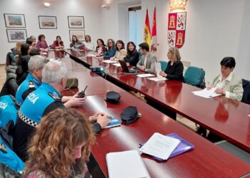 Momento de la reunión. /JUNTA DE CASTILLA Y LEON