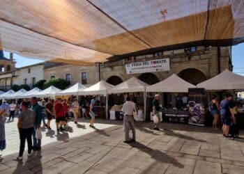 Feria del Tomate / ASOCIACIÓN PARA LA PROMOCIÓN DEL TOMATE DE MARTÍN MUÑOZ DE LAS POSADAS