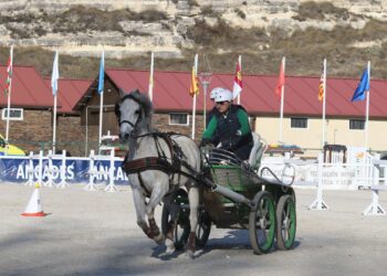 Un momento de la competición de enganches./ FEDERACIÓN