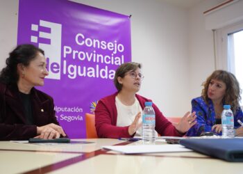 Un momento de la jornada formativa del Consejo Provincial de Igualdad./ DIPUTACIÓN