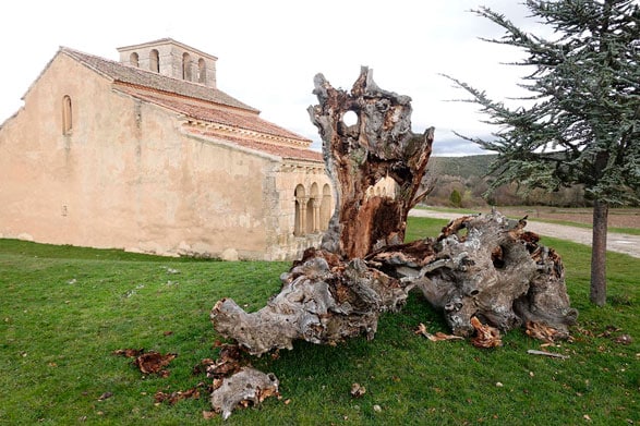 Dos olmas en la Tierra de Pedraza 1 1 destrozada