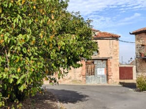 Siguiendo el arroyo San Medel (II) 3 Mata del Quintanar pertenece al ayuntamiento de Cabañas de Polendos.