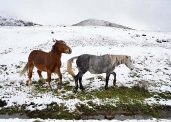En los próximos días, la Comunidad estará afectada por varios frentes. / Campillo