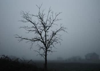 La temperatura máxima prevista para Segovia en Fin de Año es de cinco grados. / César Sánchez