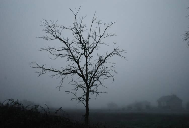 La temperatura máxima prevista para Segovia en Fin de Año es de cinco grados. / César Sánchez