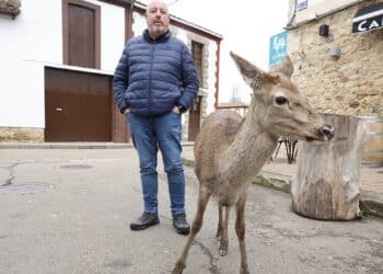Las autoridades se llevaron a Pepa, la cierva que seguía a Javi a todas partes.