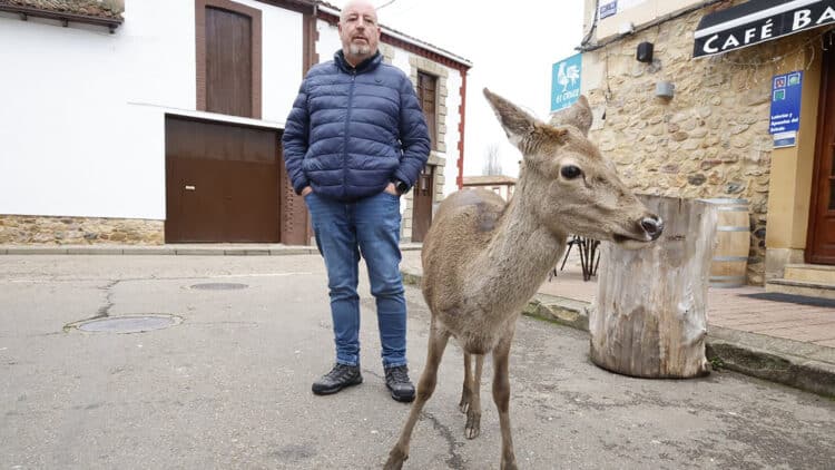 Las autoridades se llevaron a Pepa, la cierva que seguía a Javi a todas partes.