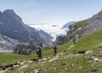 El Parque, compartido entre las comunidades de Castilla y León, Asturias y Cantabria, abarca 66.030 hectáreas. / Eduardo Margareto