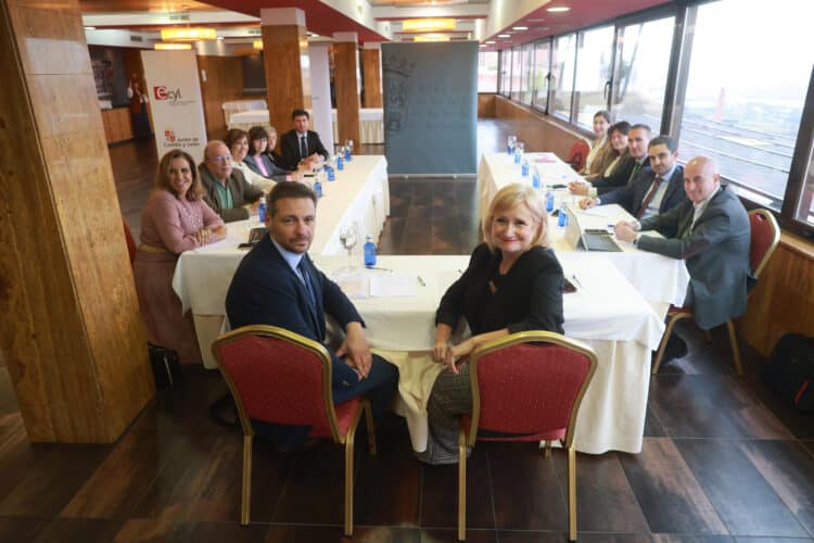 Los programas del ECYL llegan a más de 7.000 jóvenes en dos años 1 Reunión entre la Consejera de Industria y los gerentes provinciales del ECYL. / JL Leal