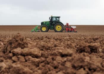 El informe de Unicaja sitúa a la región como principal productor estatal de cerales. / Rubén Cacho