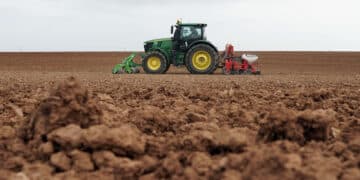 El informe de Unicaja sitúa a la región como principal productor estatal de cerales. / Rubén Cacho