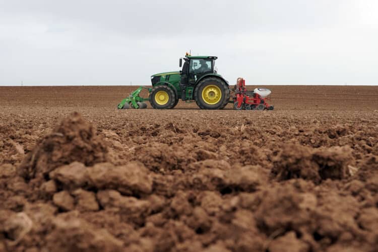 Descienden un 8,5% los ocupados en el sector agrario en 2024, hasta los 60.900 1 El informe de Unicaja sitúa a la región como principal productor estatal de cerales. / Rubén Cacho
