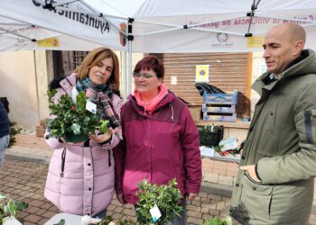 Feria del Acebo de Prádena / DIPUTACIÓN