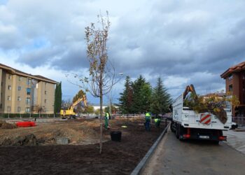 Obras en la plaza Calderón de la Barca