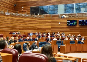 Segunda jornada de Pleno en las Cortes autonómicas. / Miriam Chacón