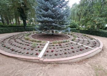 565429180 18121758970503173 1965321936837640123 n web