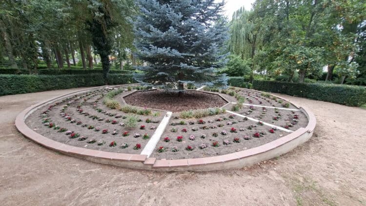 565429180 18121758970503173 1965321936837640123 n web