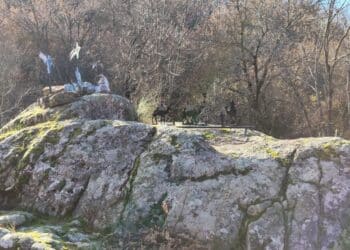 El Belén en su nuevo emplazamiento. /AYUNTAMIENTO PALAZUELOS DE ERESMA