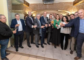 Diputados y alcaldes brindan en el encuentro navideño de la Diputación. / DIPUTACIÓN