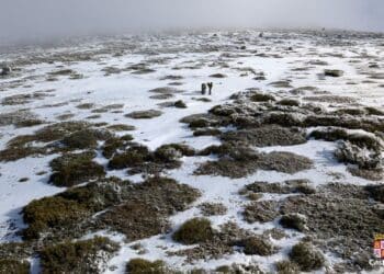 Lugar donde fue hallado el montañero./112 CASTILLA Y LEON