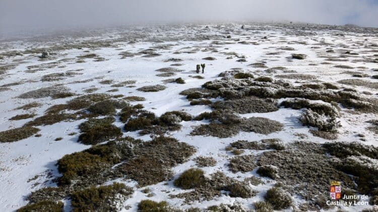 Auxilian a un montañero en el pico de Peñalara 1 Lugar donde fue hallado el montañero./112 CASTILLA Y LEON